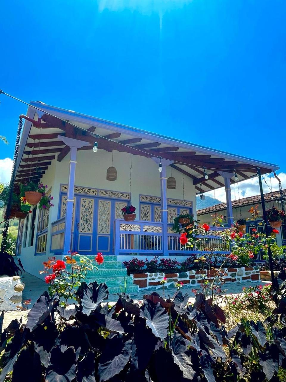 Hotel Lago Valdivia 贾丁 外观 照片