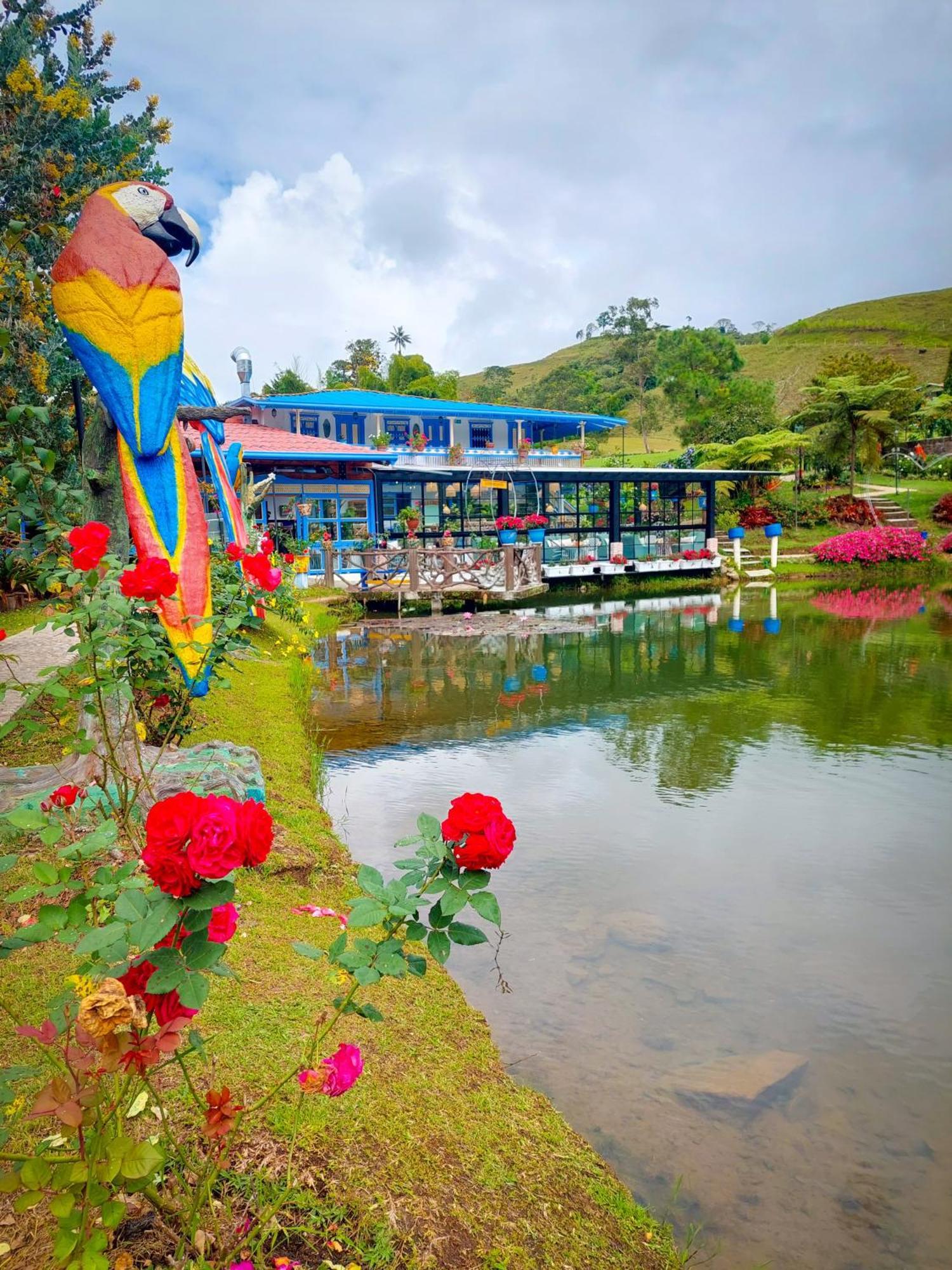 Hotel Lago Valdivia 贾丁 外观 照片